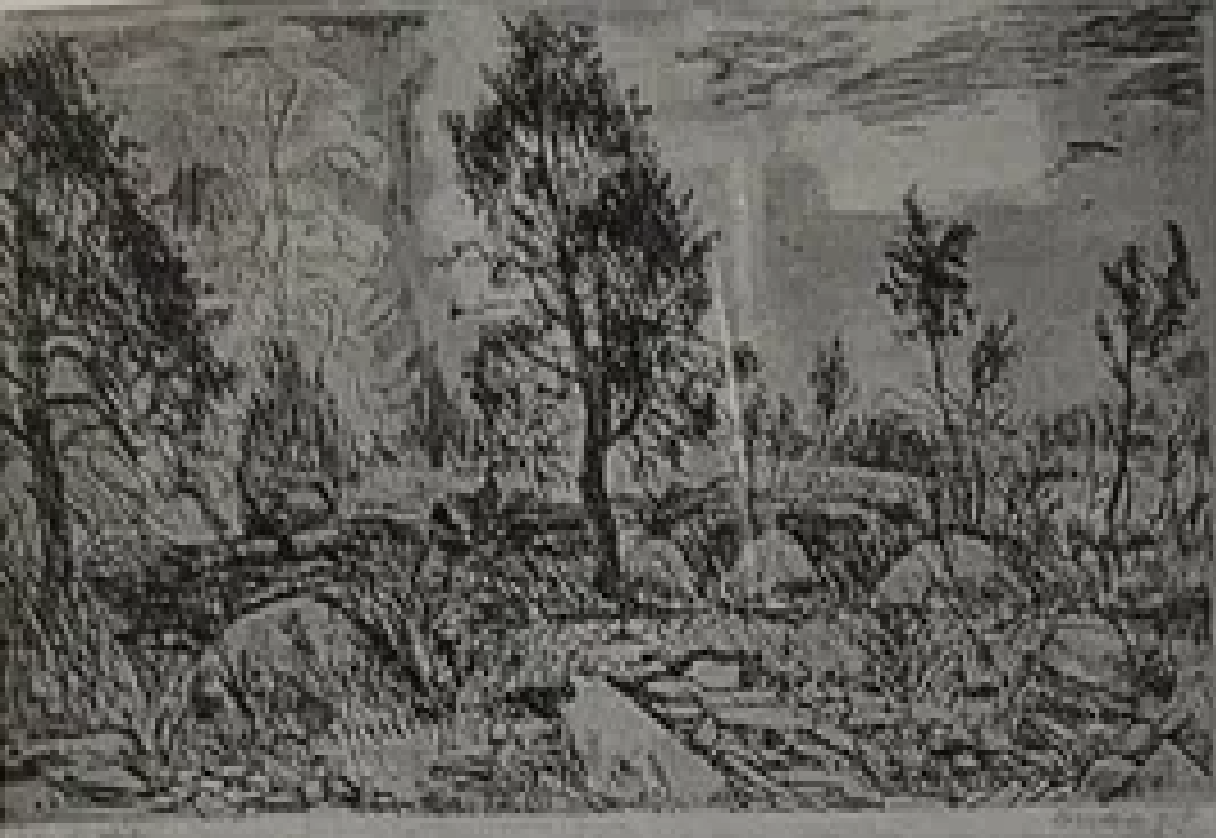 Evald Okas “Kadakad”