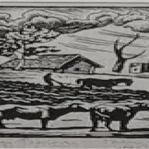 Agu Peerna “Talu”