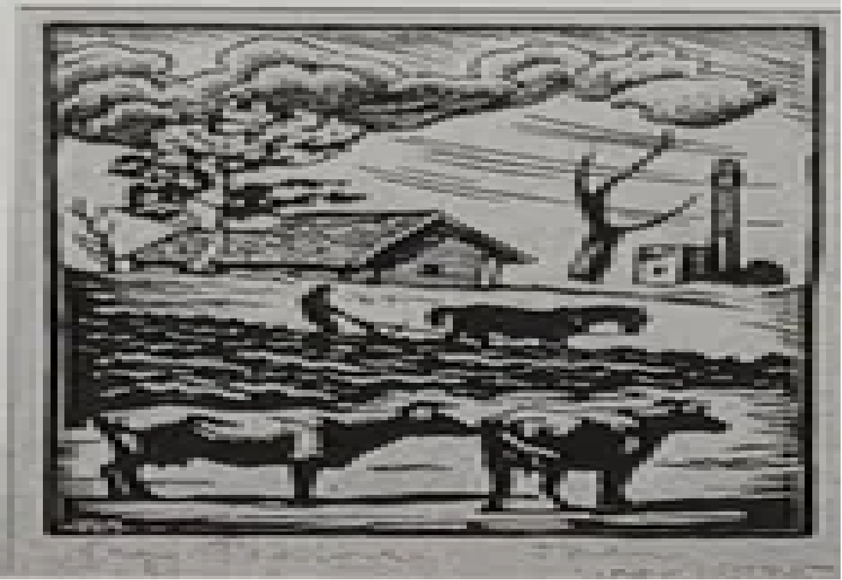 Agu Peerna “Talu”