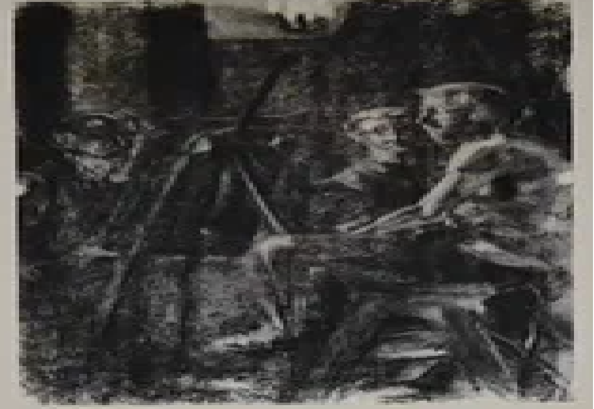 Karin Piepenberg “Stseen atiljees”