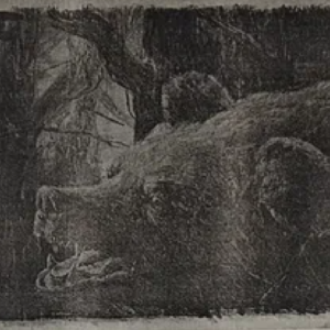 Karin Piepenberg  “Karu pea”