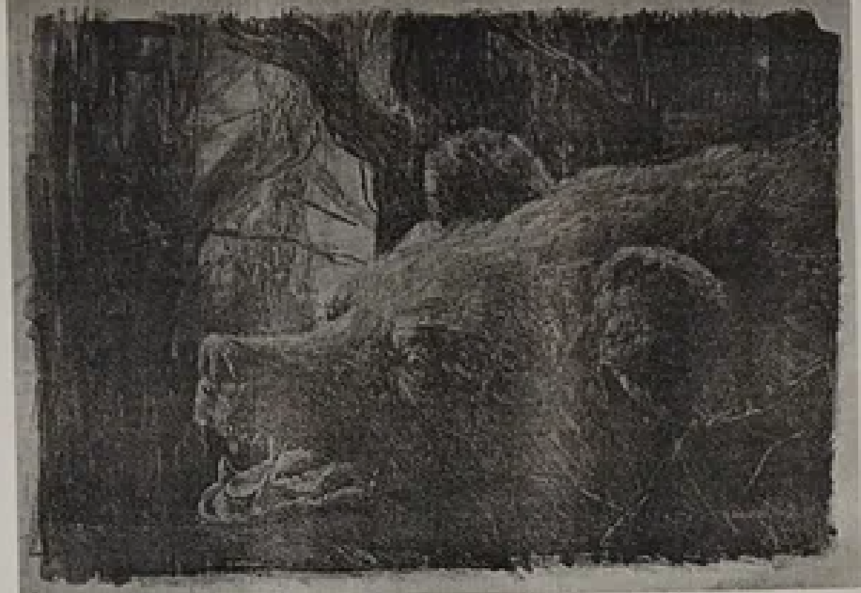 Karin Piepenberg “Karu pea”