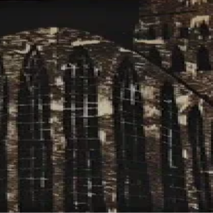 Põllu Kaljo “Oleviste”