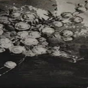 Promet Aleksander “Kullerkupud"