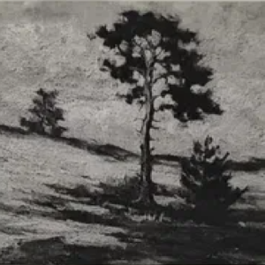 Jahannes August Riismann “ Männid leeidetel"