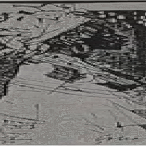 Evald Okas  “Külaline kaugelt”