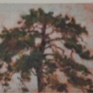 Arnold Vihvelin “Etüüd”