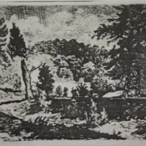 Allex Kütt “Eesti maastik”