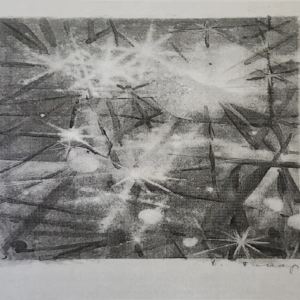 Erich Pehap "Ilutulestik"