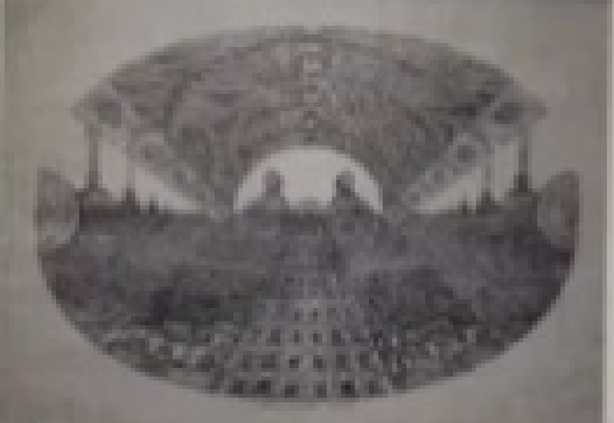 Vello Vinn “Vahetus teine”