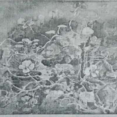 “Kreessid” Efraim Allsalu