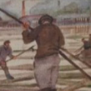 Arnold  Vihvelin “Parvetajad”