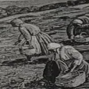 Boris Ninemäe “Seenelised”