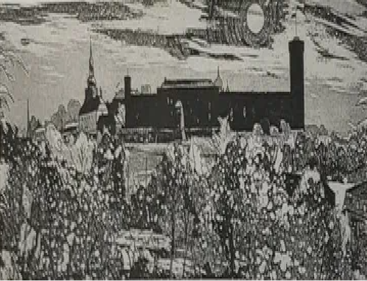 Evald Okas “Vaade Toompeale”