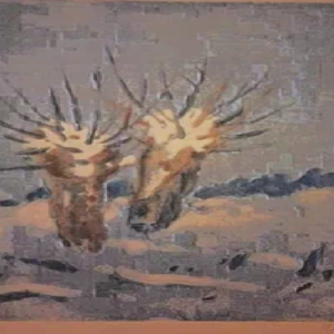 Märt Laarman “Pajud”