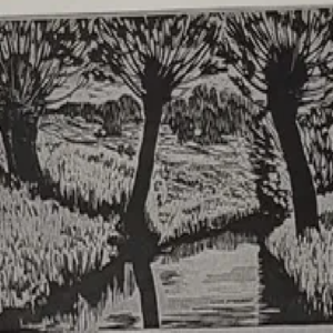 Märt Laarman “Pajud 3”