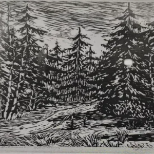 Nikolai Romanov "Metsanurk"