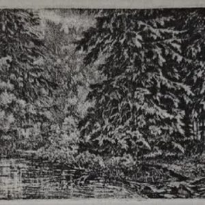 Ernst Tiido “Motiiv Vändrast”