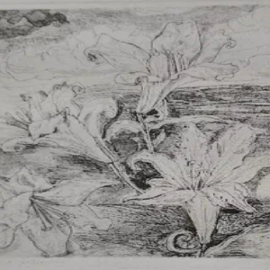 Evi Tihemets “Liiliad”