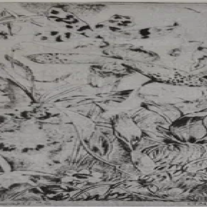 Ivar Tõnurist “Orhideed”