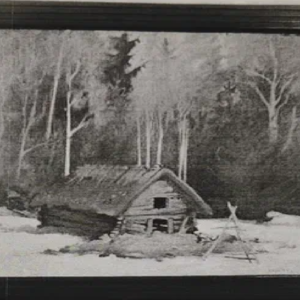 Ants Viidalepp “Küün metsa veeres”