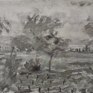 Heldur Viires “Alatskivi motiiv”