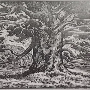 Märt Laarman “Valgjärve tamm”