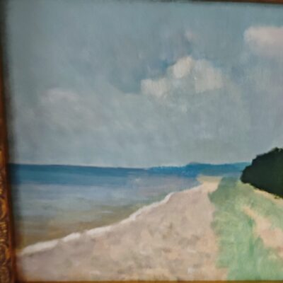 Lembit Saarts  «Võrtsjärv»