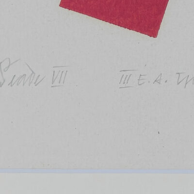 Avo Keerend “Seade VII”