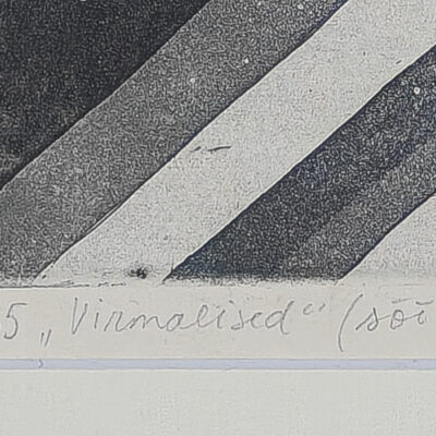 Vive Tolli „Virmalised“